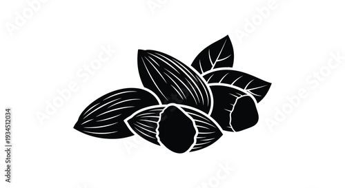 A striking black silhouette depicts several almonds with detailed leaf accents showcasing natural forms silhouette high quality professional