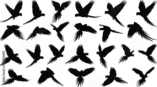 WebSet of flying parrot silhouettes, exotic macaw bird flight collection, tropical wildlife wing shapes, black avian vector elements for nature design.