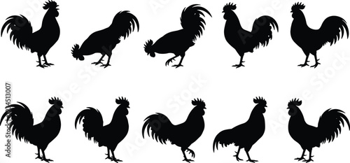 WebRooster and cock bird silhouettes collection in various poses for farm animal vector graphics, poultry icons, and rural nature designs.