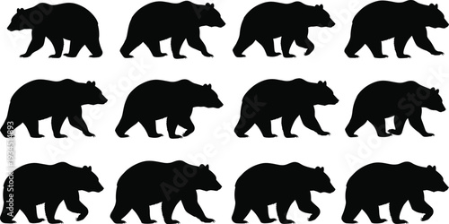 Silhouette collection of walking bear in different poses isolated on white background, wild animal side view set for wildlife and nature design