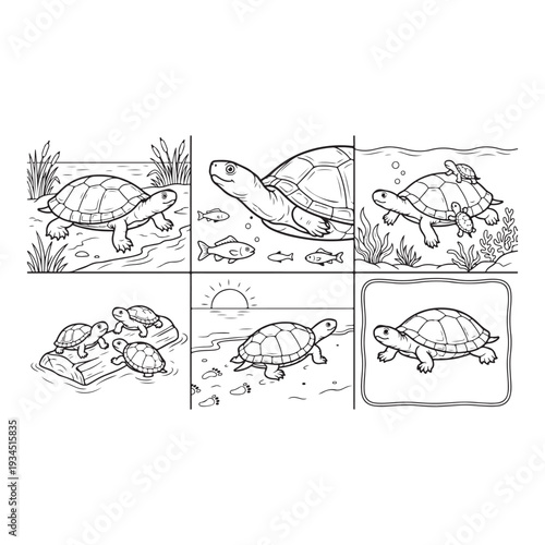 Animals Coloring Page Designs Black and White animal Illustration Outline Illustrations Collection  Animals Clipart Bundle 