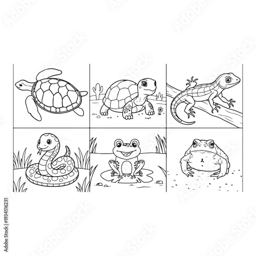 Animals Coloring Page Designs Black and White animal Illustration Outline Illustrations Collection  Animals Clipart Bundle 