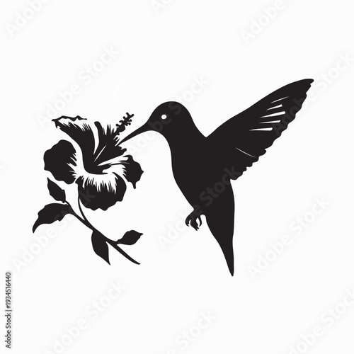 Tropical Hummingbird with Hibiscus Flower Vector On white Background