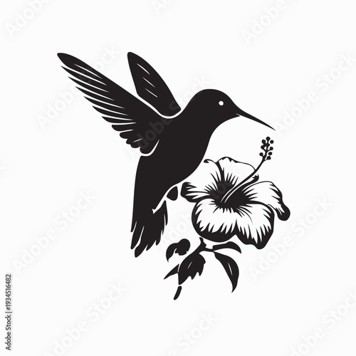 Tropical Hummingbird with Hibiscus Flower Vector On white Background
