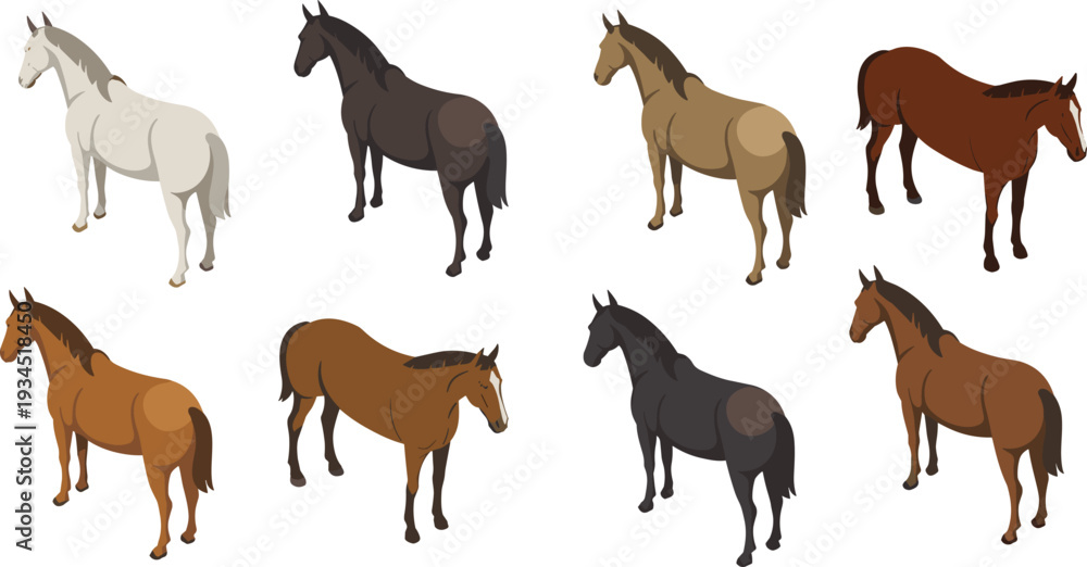 Fototapeta premium Isometric farm horse collection, realistic stallions and mares in multiple natural coat colors illustration set