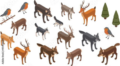 Isometric forest wildlife collection, deer wolves robins and pine trees woodland animals illustration set