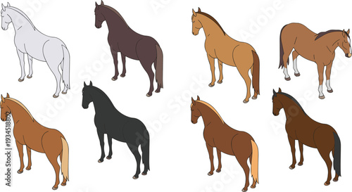 Isometric horse collection set, realistic farm horses in different colors equine illustration bundle