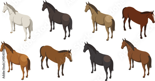Isometric horse set illustration, realistic farm stallions and mares in natural coat colors collection
