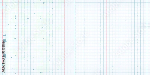 Graph paper background with a vertical red line and some dark spots