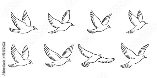 Flying Dove Bird Illustrations. Multiple Poses Set for Freedom, Peace, and Hope Symbolism.