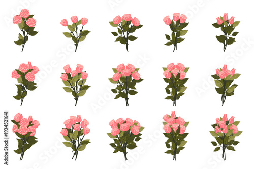A bouquet of light pink roses. A large set of bouquets for your design. Vector illustration on a white background.