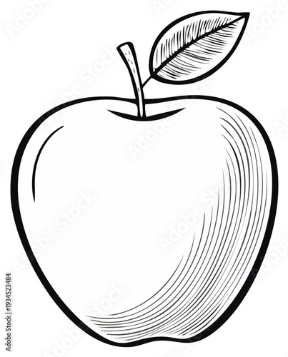 Single Hand Drawn Apple Illustration With Leaf Stem And Engraved Shading