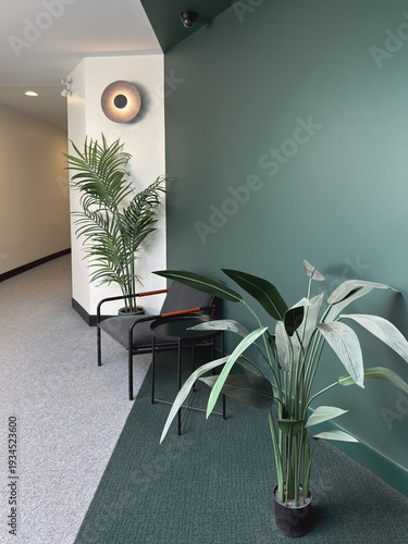 Chaises dans la salle d'attente d'une clinique.	Plantes et mur vert.
