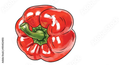 A vibrant red bell pepper illustration with green stem on a white background