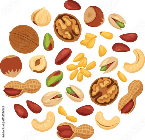 Vector illustration of mixed nuts and seeds including walnuts pistachios peanuts cashews and hazelnuts for healthy snack food packaging and organic nutrition design.