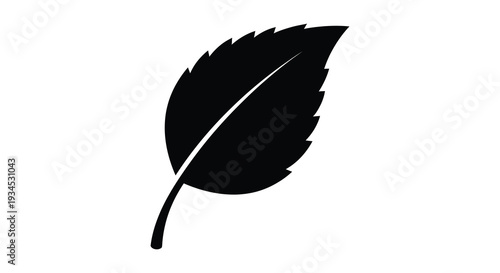 A simple depiction of a single leaf with a prominent vein set against a white background silhouette