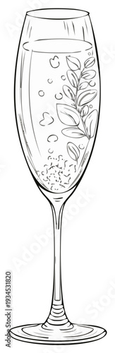 Elegant champagne flute with bubbly liquid and delicate herb sprig illustration