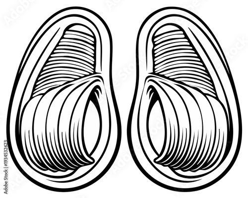 Abstract symmetrical organic shapes resembling seeds or pods with internal texture