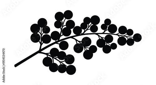 A detailed depiction of a berry branch with numerous circular fruits presented as a striking silhouette high quality