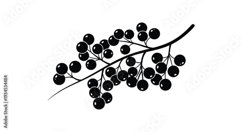 A striking black silhouette of a berry branch with many round fruits showcasing natural elegance silhouette high quality