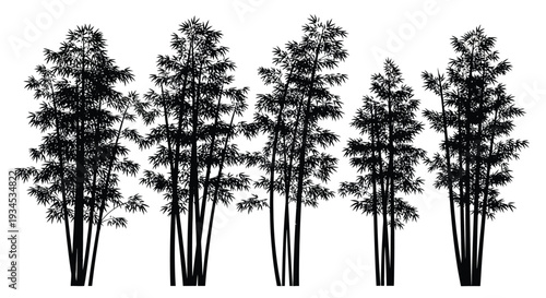 A striking arrangement of bamboo stalks against a bright white background creates a peaceful minimalist silhouette high quality