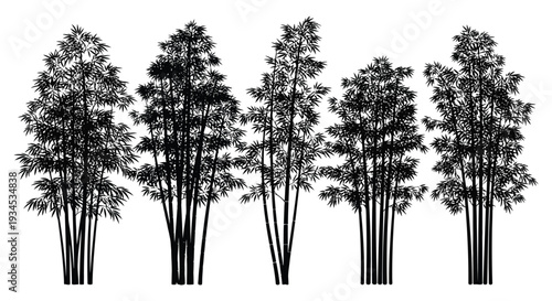 A striking composition of dense bamboo stalks rendered in a stark black silhouette style high quality professional detailed