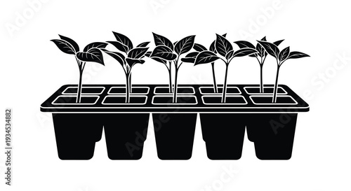 A row of young seedlings growing in a plastic seed starting tray depicted in striking black silhouette