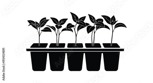 A minimalist depiction of young plants growing in small black planters presented as a striking silhouette high quality