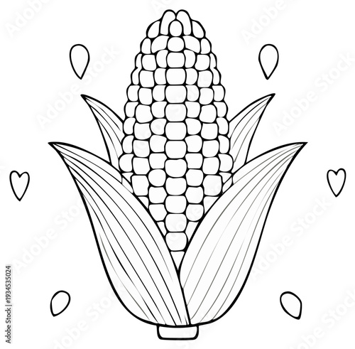 Outline of a fresh ear of corn with kernels and leaves drawn in simple line art style