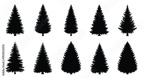 A collection of eight black silhouettes depicting various coniferous trees against a white backdrop silhouette high quality professional