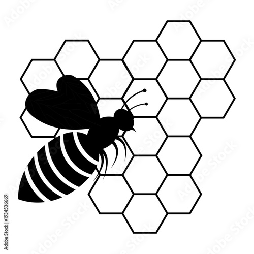 Black and white bee silhouette illustration combined with geometric hexagon honeycomb pattern. Minimal modern design suitable for logo, branding, beekeeping concept, nature theme, organic product pack