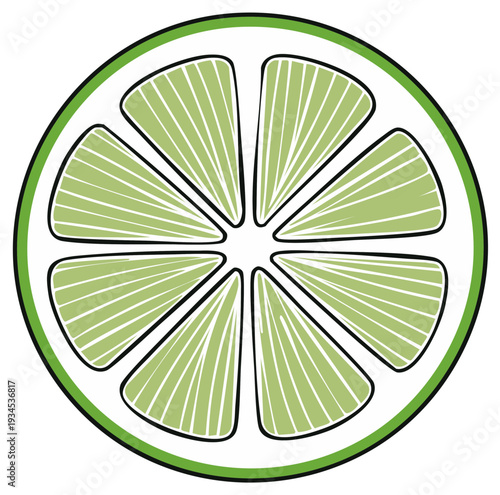 Illustration of a sliced lime fruit with green and white segments