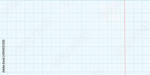 Pale blue graph paper with a single red vertical line