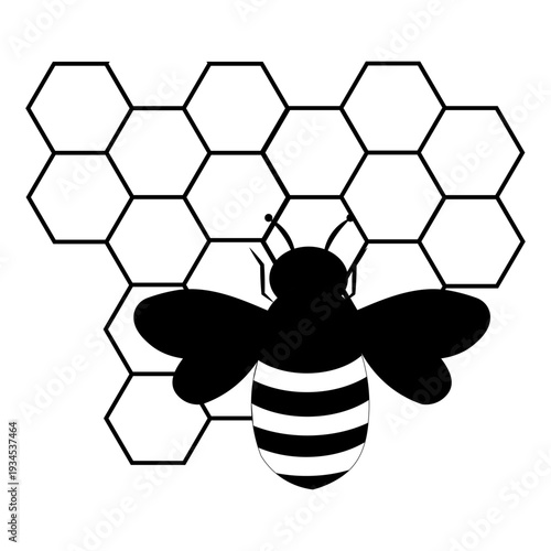 Black and white bee silhouette illustration combined with geometric hexagon honeycomb pattern. Minimal modern design suitable for logo, branding, beekeeping concept, nature theme, organic product pack