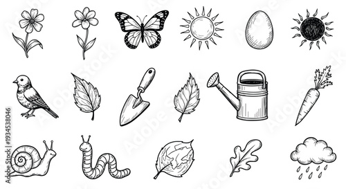 Adobe Illustrator Artwork