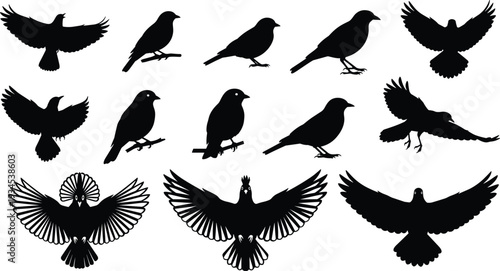 Bird silhouette icon set with flying and perched crow raven pigeon shapes vector illustration isolated black wildlife collection