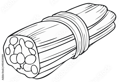 Line art of a lotus root tied in a roll shape, healthy Asian cuisine and plant based nutrition on white