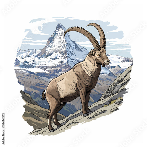 Alpine ibex standing on a rocky mountain with Matterhorn peak background vintage vector illustration