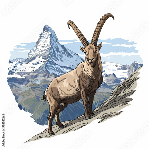 Alpine ibex standing on a rocky mountain with Matterhorn peak background vintage vector illustration