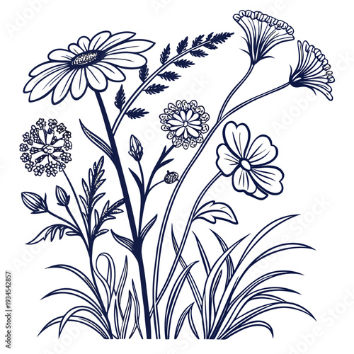 A detailed illustration showcasing a variety of wildflowers in full bloom.