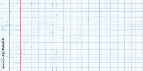 A page of lined graph paper with a slightly torn and distressed edge