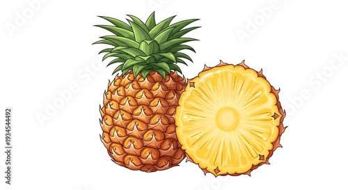 Detailed vector art of a whole ripe pineapple with green leaves and a circular cross-section slice. Vibrant tropical fruit illustration isolated on white.