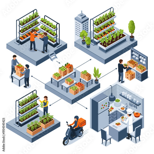 Diagram illustrating the process of urban vertical farming, from cultivation to delivery and preparation in a kitchen.