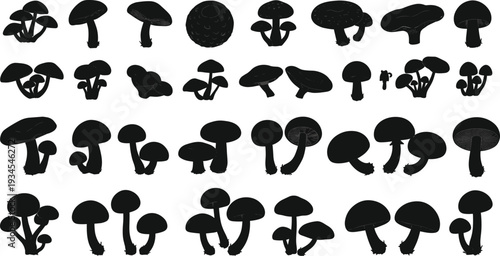 Mushroom silhouettes, edible and wild fungi icons set, forest mushroom illustration, toadstool collection, botanical fungus graphics, black vector nature design, foraging theme, minimal style, spore c