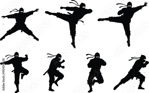 Ninja silhouette, martial arts pose, karate action, kung fu fighter, samurai warrior, combat stance, self defense training, Japanese culture, stealth movement, dynamic kick