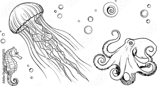 Underwater world vector set hand drawn sea creatures jellyfish seahorse and octopus isolated on transparent background