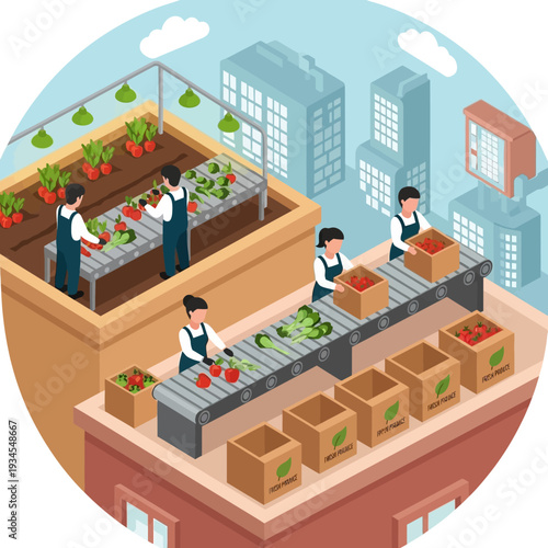 Urban farming operation with workers harvesting and packaging fresh produce on a rooftop conveyor belt system.