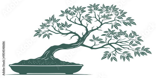 A beautifully designed bonsai tree in a shallow pot with a serene background