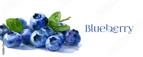 Fresh blueberries watercolor painting on a clean white background, creating a vibrant visual of natural, healthy, and organic fruit for delicious eating and cooking