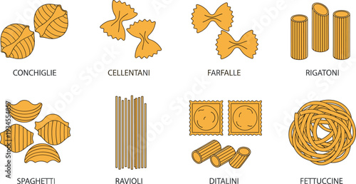 Italian Pasta Shapes Collection with Conchiglie Cellentani Farfalle Rigatoni Spaghetti Ravioli Ditalini and Fettuccine Vector Illustration